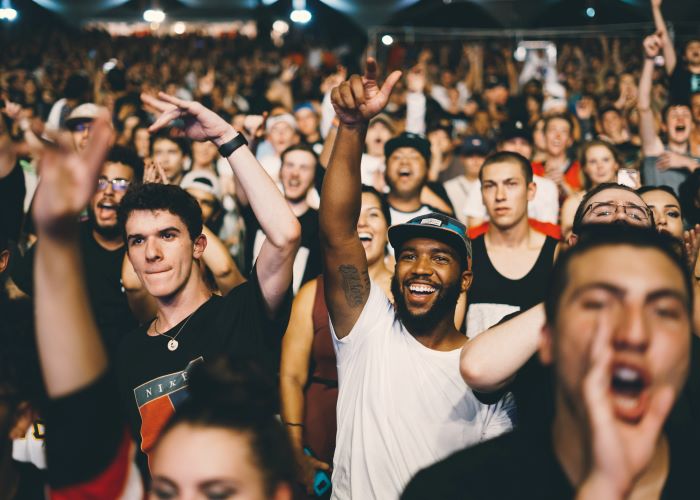 Fans enjoying concert